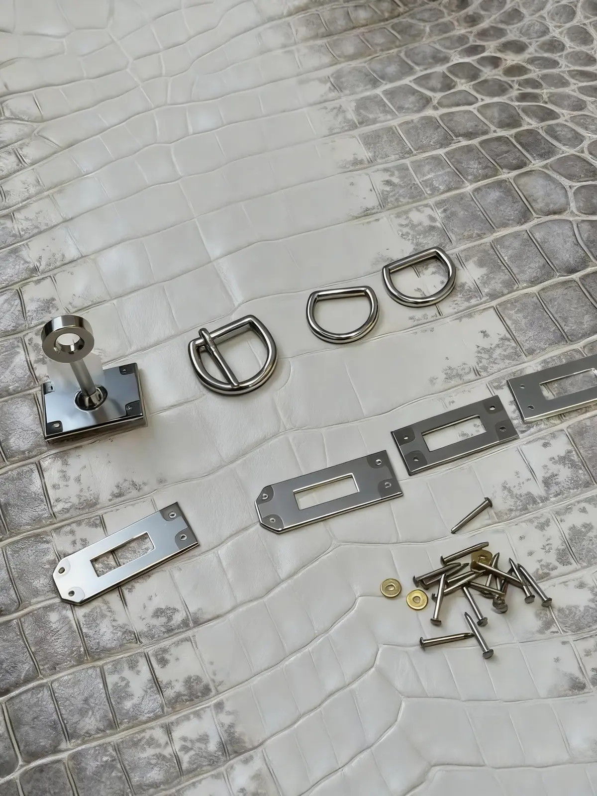 Polished palladium-tone hardware arranged on white crocodile leather