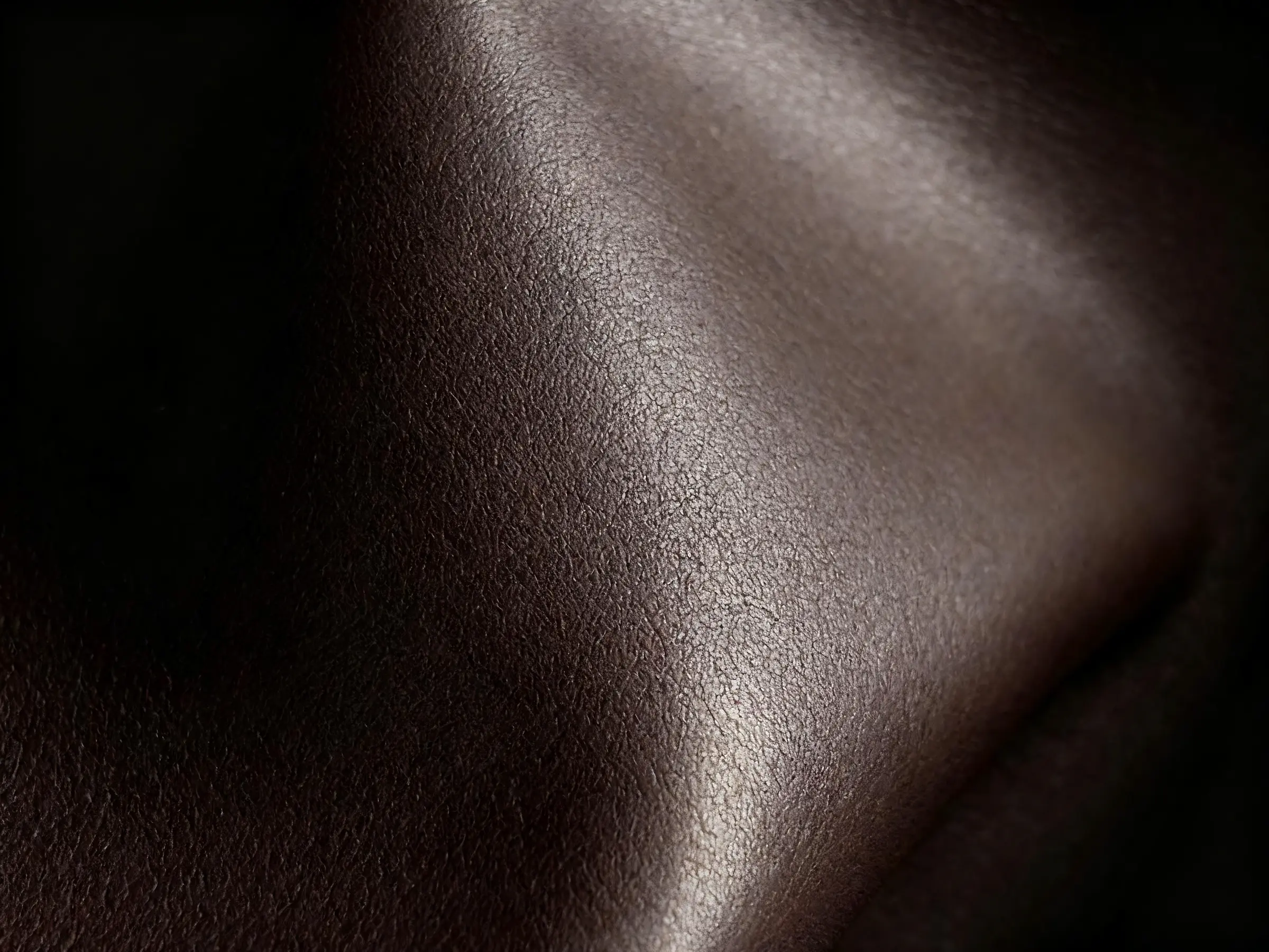 Close-up of rich brown leather grain in soft light