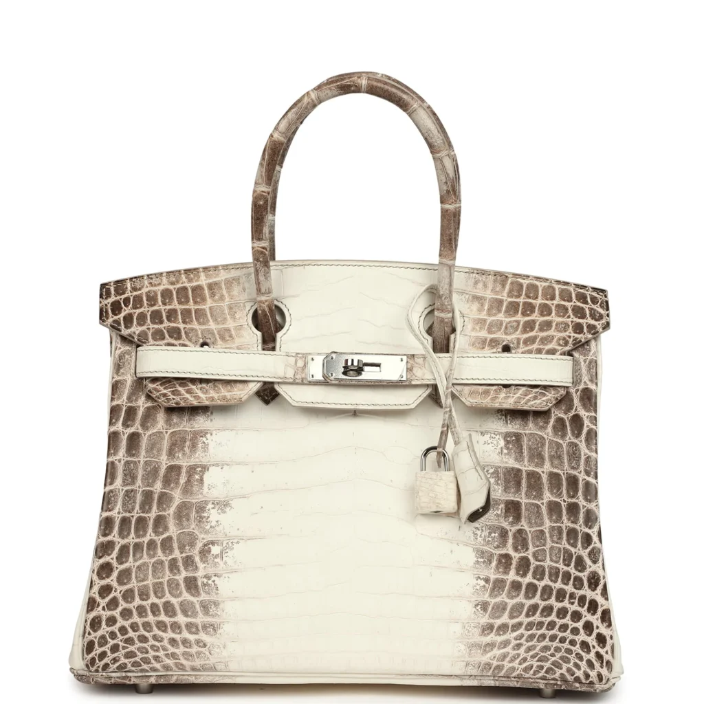 Hermes Birkin Himalaya