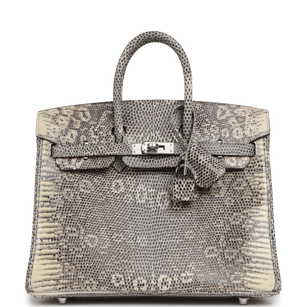 Hermes Birkin Lizard Snowflake